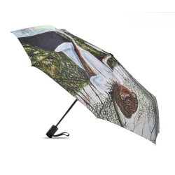 Gillian Jones Artist Paraply "It's never too late"