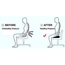 Woltu Ortopdisk Siddepude med memoryfoam og gelcoating - Sort