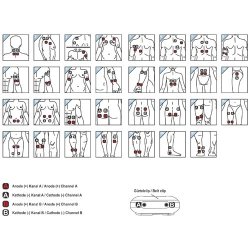 SaneoSPORT EMS Muskelopbygning