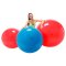 Gymnic Physioball