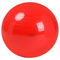Gymnic Physioball