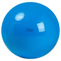Gymnic Physioball