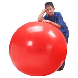 Gymnic Physioball