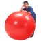 Gymnic Physioball