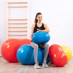 Gymnic Physio-Roll - Terapibold/rulle