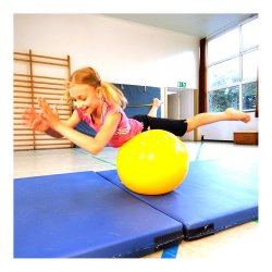 ARTZT Vitality Fitnessbold - Professional