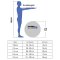 Sport-tec Gymnastikbold silver -  65 cm.
