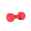 Sport-tec Hndvgt af stbejern og vinyl - 1 kg.