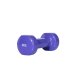 Sport-tec Håndvægt af støbejern og vinyl - 2 kg.