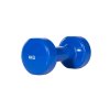 Sport-tec H�ndv�gt af st�bejern og vinyl - 4 kg.