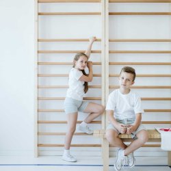 Professionel Vgribbe 80 x 230 cm, 14 trin - Kvalitetsgodkendt