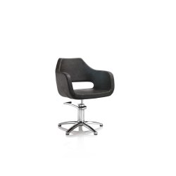 Hair Regency Professionel Frisrstol