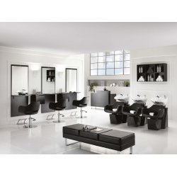 Hair Regency Professionel Frisrstol