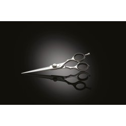 Iwasaki Executive Silver Fuji Professionel Frisrsaks - 5,5 tommer