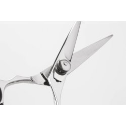 Iwasaki Executive Silver Fuji Professionel Frisrsaks - 5,5 tommer