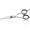Iwasaki Executive Silver Fuji Professionel Frisrsaks - 5,5 tommer