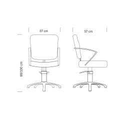 Hair Alpha Professionel Frisrstol