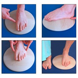 Pedalo Fod- og benaksetrner Pro-Pedes - 27 cm.