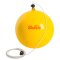 Gymnic Sport Ball med snor