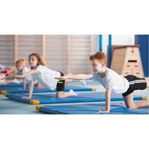 Let gymnastikmtte m. lderhjrner