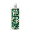 Faith in Nature Avocado Shampoo - 400 ml.