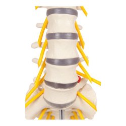Lndehvirvelsjle inkl. stativ