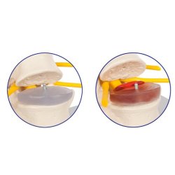 Diskusmodel med 2 lndehvirvler - 19x19x19 cm.