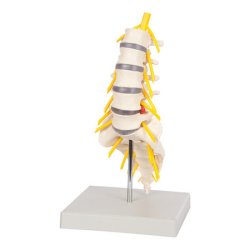 Lndehvirvelsjle inkl. stativ