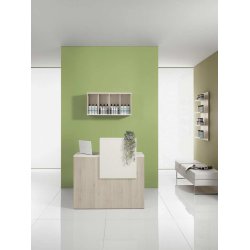 Vista Consolle Professionel Receptionsdisk - Natural