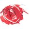 Annemarie Brlind 2in1 Blush & Lipstick Rose Glow - Ltd. Edition