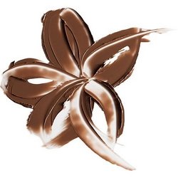 Annemarie Brlind 2in1 Eyes &amp; Bronzer stick Caramel Glow - Ltd. Edi