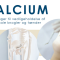 Bio-Calcium+D3+K1+K2 - God for dine knogler og tnder - 150 stk.