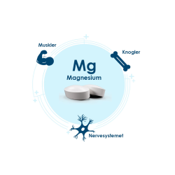 Bio-Magnesium - 120 tabletter