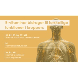 Bio-B-Kompleks - 60 stk.