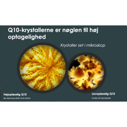 Bio-Quinone Aktivt Q10 Gold 100 mg - Reducerer trthed og energilshed - 90 stk.