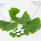 Bio-Biloba - 100 mg. Ginkgo Biloba ekstrakt - 90 stk.
