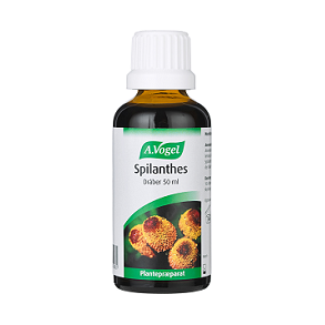 A. Vogel Spilanthes - 50 ml.