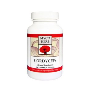 Cordyceps - 200 kapsler