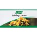 A. Vogel Solidago Urtete - 50 g.