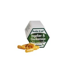 Berthelsen, Ingefr &amp; Gurkemeje - 60 kaps