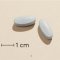 Biosym OmniX u. jern og k-vitamin - 160 stk.