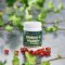 Berthelsen, Omega-3 Algeolie - 60 kaps
