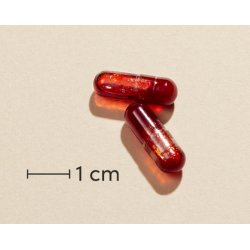 New Nordic OmniOmega Krill Olie  - 100 kap.