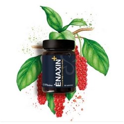 naxin - Styrker din fysiske og mentale ydeevne - 90 tabletter