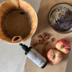 Rhygge Sverige Lion's Mane Liquid Extract - 100 ml.