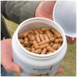 HerbaFlora Hyben i kapsler - 360 kps.