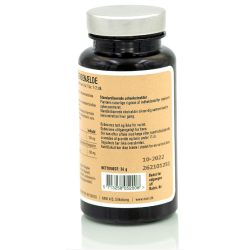 Nani Ingefr - 90 kapsler