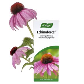 A. Vogel Echinaforce - 100 ml.