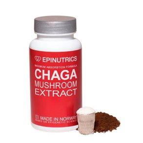 Epinutrics EPI-Chaga Mushroom Extract - 60 kapsler