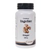 Camette Ingefr 250 mg. - 140 tabletter